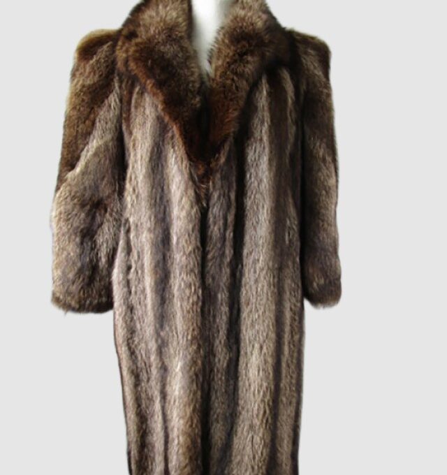 Raccoon Fur Coat Jacket Sz 10 MINT