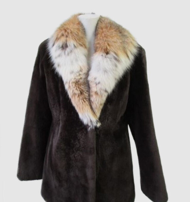 Sheared Beaver Fur Jacket Coat with Lynx Fur Collar Sz 6 Brown New
