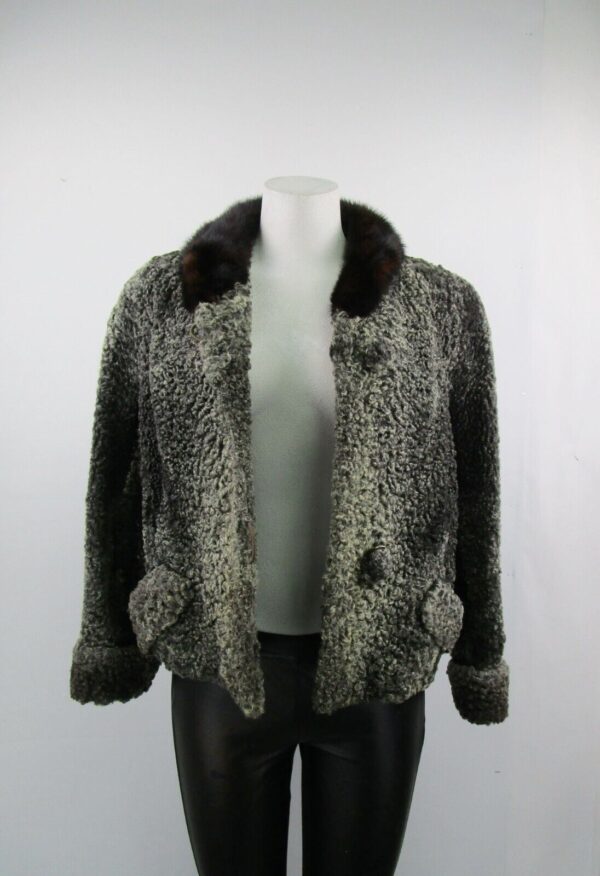 Women's Sz 4 Gray Persian Lamb & Mink Fur Coat Jacket Mint Grey Woman - Image 3