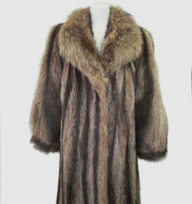 Raccoon Fur Coat Jacket MINT+ Woman Women's Sz 10