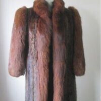 Women's Sz 8 Muskrat Fur Coat Jacket with Brown Fox Fur Sleeves MINT+ Woman