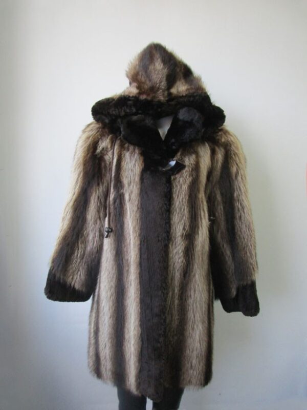 Women's Sz 8 Superb Raccoon Fur Coat Jacket Black Sheared Raccoon Det. Hood - Image 2