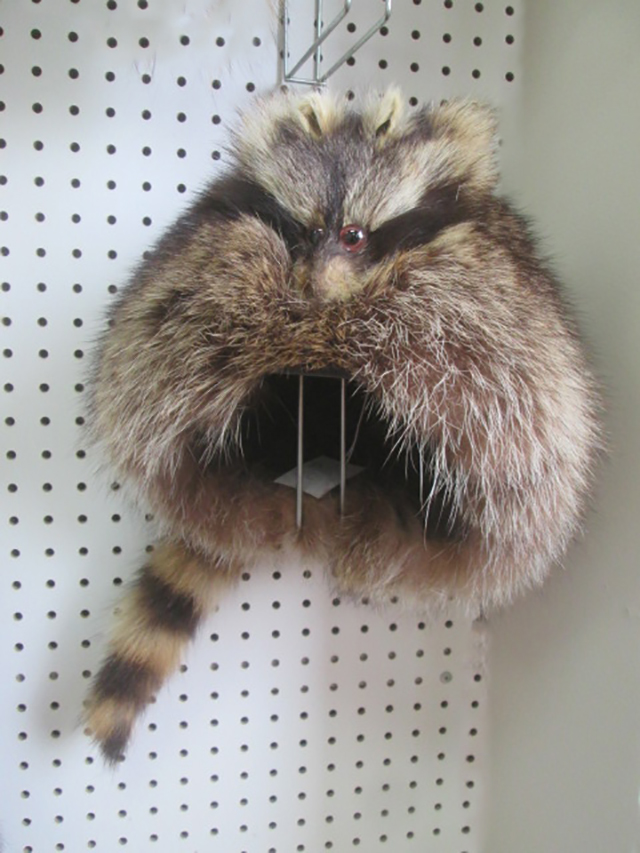 Raccoon Fur Davy Crockett Frontier Trapper Hat Men