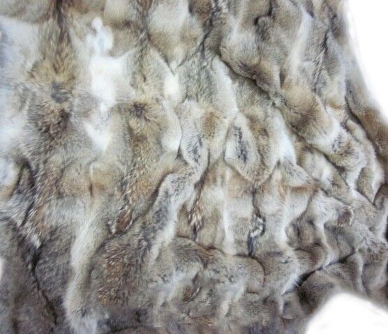 Coyote Fur Blanket Rug Throw Plate Bedspread 72"X48" - Image 3